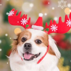 Sadly this event is cancelled  - due to low numbers  - So, This is Christmas!  - Please text 0435 002 698 for a full refund