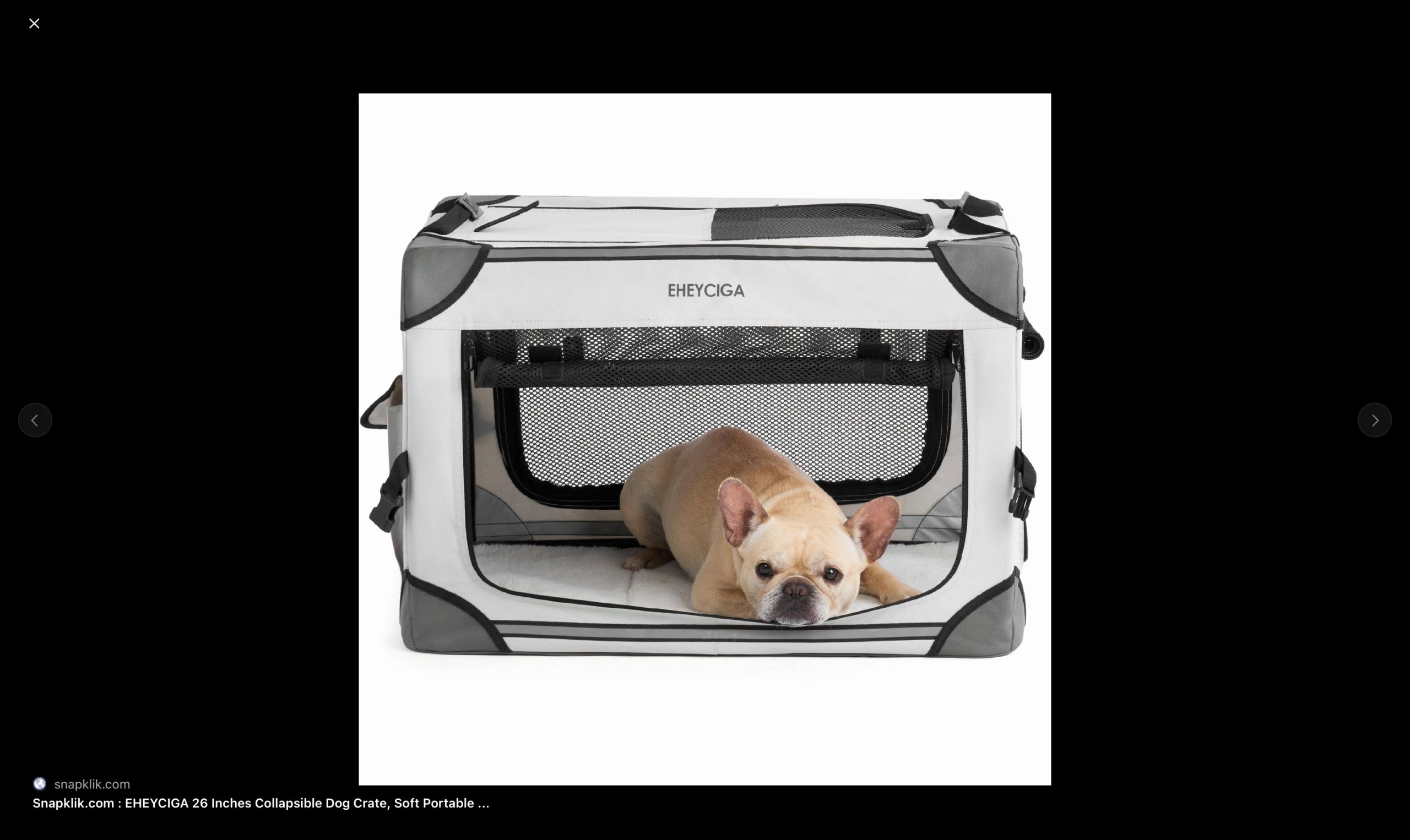 Curated visual reference: Gallery Detail: How To Crate Train Your Dog So They Are Ready